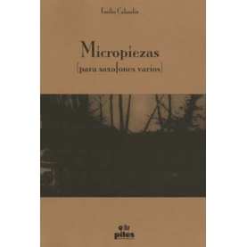 Micropiezas