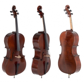 Cello Gewa Concierto Georg Walther