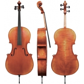 Cello Gewa Maestro 46