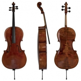 Cello Gewa Maestro 24