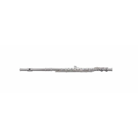 Flauta Roy Benson FL-602RE