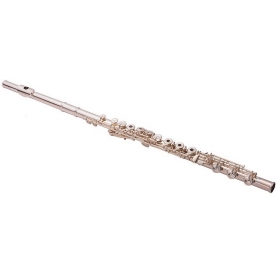 Flauta Altus 907Sr
