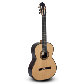 Guitarra Paco Castillo 205