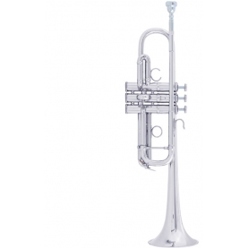 Bach ARTISAN Plateada