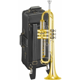 Trompeta Yamaha YTR-8335R Xeno