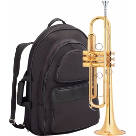 Trompeta Yamaha YTR-8340EM Custom