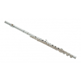 Flauta Yamaha YFL-481 H
