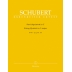 Streichquintett Op.Post. 163 in C Major/ Partes