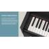Yamaha Arius YDP-S54