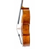 Violonchelo Antonio Wang Brandenburg
