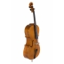 Cello Gewa Concierto Georg Walther