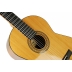 Guitarra admira Paloma