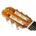Guitarra admira Paloma