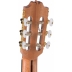 Guitarra Admira F4