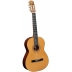 Guitarra admira Paloma