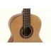 Guitarra Gewa Pro Arte GC130A