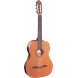 Guitarra Ortega R180 Serie Tradicional