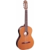 Guitarra Ortega R190 Serie Tradicional 