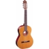 Guitarra Ortega R200SN Serie Tradicional 