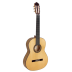 Guitarra Paco Castillo 214F