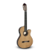Guitarra Paco Castillo 234TE