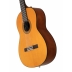 Guitarra Yamaha CGX 102