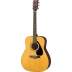 Pack Guitarra Yamaha F310P NT