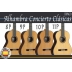Guitarra Alhambra Concierto