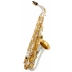 Saxofon Alto Amati AAS 83SG