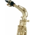 Saxofon Alto Roy Benson AS-302