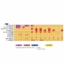 tabla comparativa boquillas saxofon tenor v5