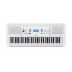 Teclado Yamaha EZ300