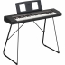 Teclado Yamaha Piaggero NP-15