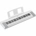 Teclado Yamaha Piaggero NP-15