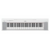Teclado Yamaha Piaggero NP-15