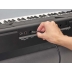 Teclado Yamaha PSR SX600