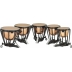 Timbal Yamaha TP-6300