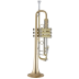 Trompeta Bach 190LV/65G Tudel 43 Campana Goldmessing