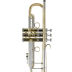 Trompeta Bach 190LV/65G Tudel 43 Campana Goldmessing