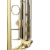 Trompeta Bach TR501