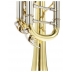Trompeta Bach TR501