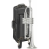 Trompeta Yamaha YTR-8335RGS Xeno