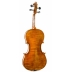 Violin Antonio Wang Verona