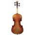 Violin Gewa Maestro 51 Antiguo