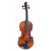 Violin Gewa Maestro 1 VL3