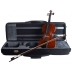 Viola Stentor Conservatorio