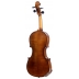 Violín Stentor Student II 1/8