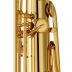 Saxofon Tenor Yamaha YTS-480