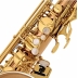 Saxofon Tenor Yanagisawa TWO20