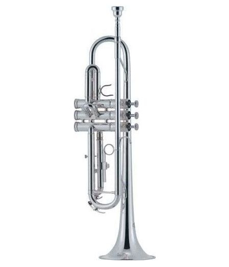 Trompeta en SI bemol Michael TR300 plateada J 